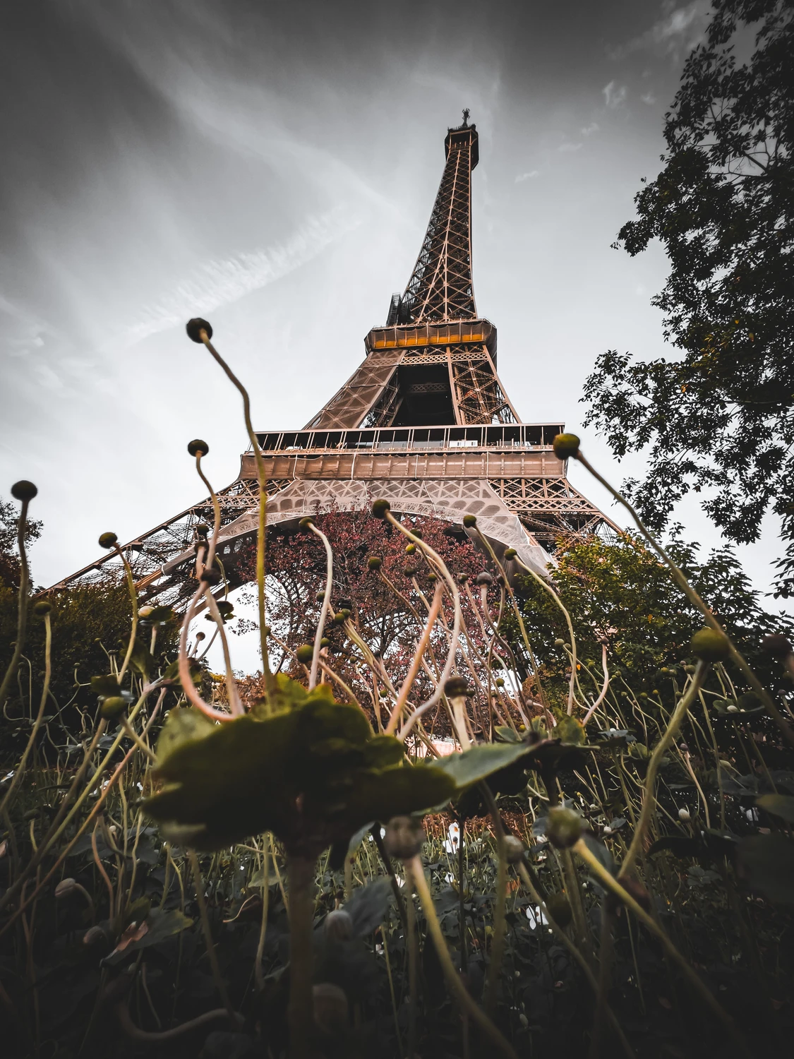 Les Racines de La Dame de Fer